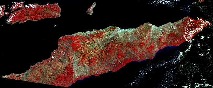 1972 Landsat Multi-Spectral Scanner (MSS) image mosaic of East Timor.