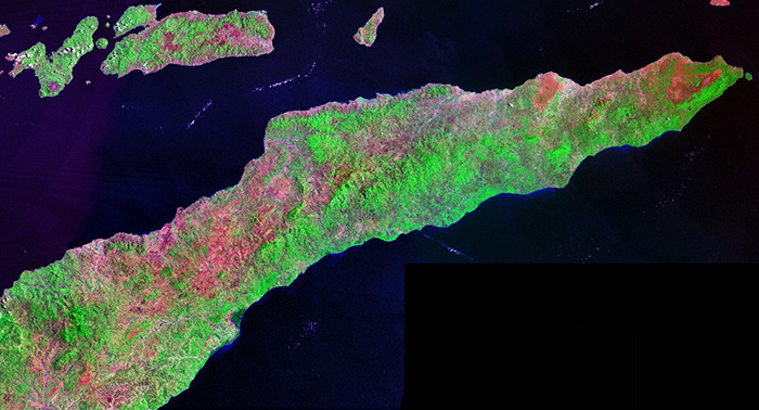 1990 mosaic of Landsat Thematic Mapper (TM) images.